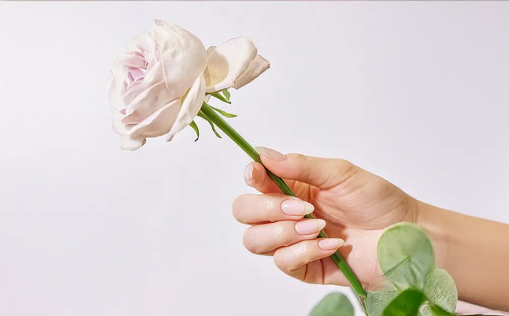 奇跡のSOSO ハンドトリートメント